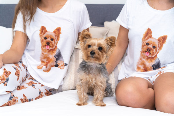 Yorkshire terrier Yorkie 2 piece Pj set with shorts
